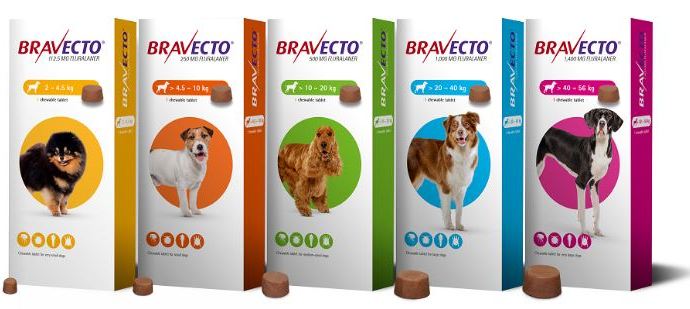 bravecto for puppy