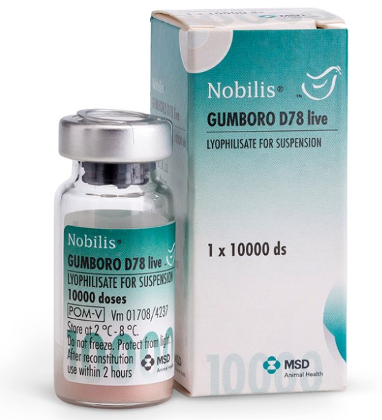 Nobilis Gumboro D78 pack shot