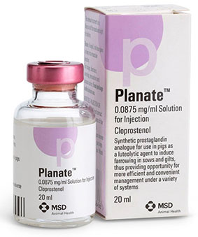 Planate pack shot