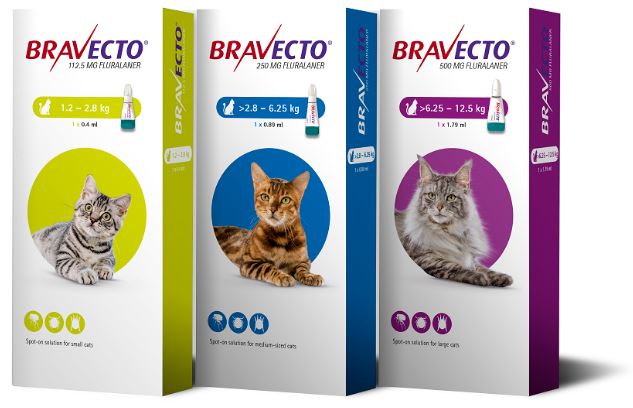 Bravecto spot on cat