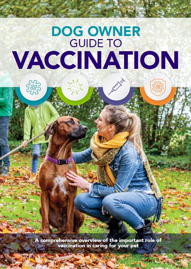 Image of dog owner vaccination guide
